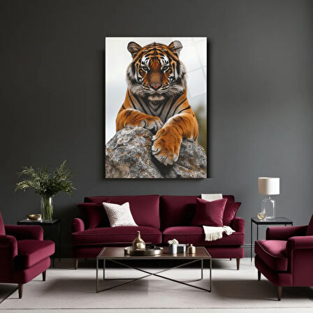 Hayvan Fotoğrafları Cam Tablo | Dayanıklı Temperli Cam