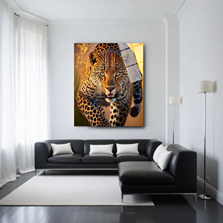 Hayvan Fotoğrafları Cam Tablo | Dayanıklı Temperli Cam