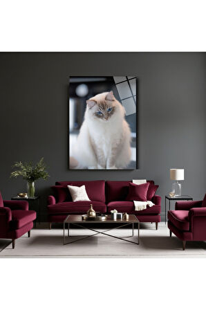 Hayvan Fotoğrafları Cam Tablo | Dayanıklı Temperli Cam