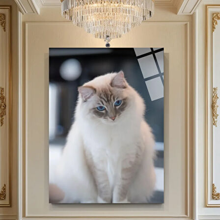 Hayvan Fotoğrafları Cam Tablo | Dayanıklı Temperli Cam