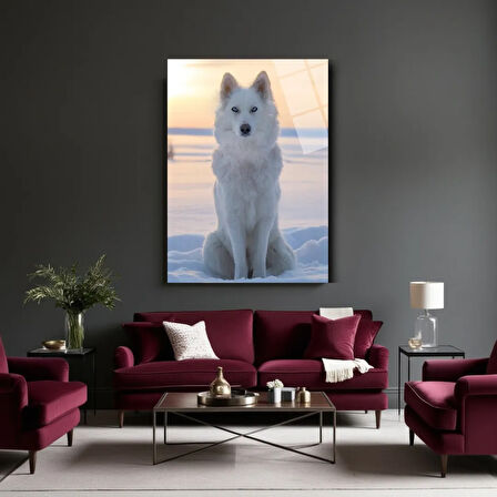 Hayvan Fotoğrafları Cam Tablo | Dayanıklı Temperli Cam