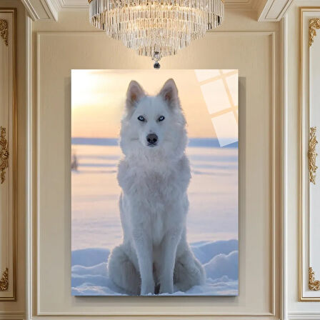 Hayvan Fotoğrafları Cam Tablo | Dayanıklı Temperli Cam