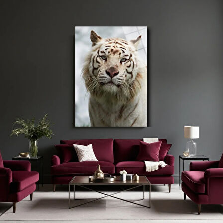 Hayvan Fotoğrafları Cam Tablo | Dayanıklı Temperli Cam