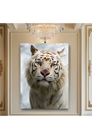 Hayvan Fotoğrafları Cam Tablo | Dayanıklı Temperli Cam