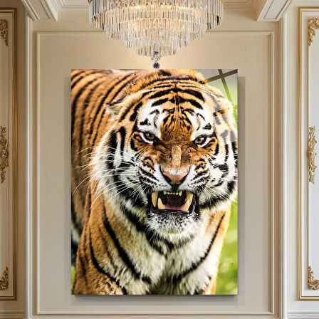 Hayvan Fotoğrafları Cam Tablo | Dayanıklı Temperli Cam