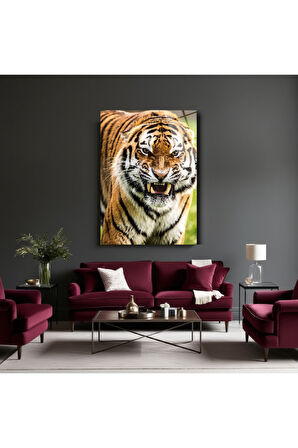 Hayvan Fotoğrafları Cam Tablo | Dayanıklı Temperli Cam