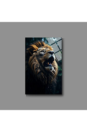 Hayvan Fotoğrafları Cam Tablo | Dayanıklı Temperli Cam