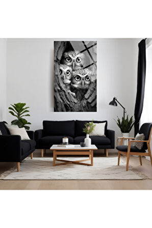 Hayvan Fotoğrafları Cam Tablo | Dayanıklı Temperli Cam