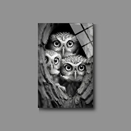 Hayvan Fotoğrafları Cam Tablo | Dayanıklı Temperli Cam