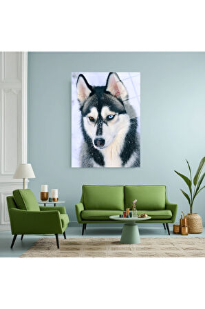 Köpek Balığı Cam Tablo | Dayanıklı Temperli Cam