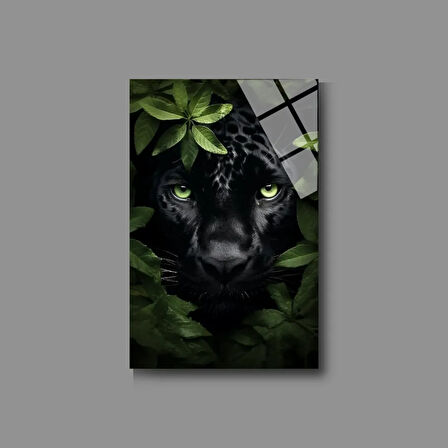 Hayvan Fotoğrafları Cam Tablo | Dayanıklı Temperli Cam