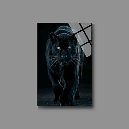 Hayvan Fotoğrafları Cam Tablo | Dayanıklı Temperli Cam