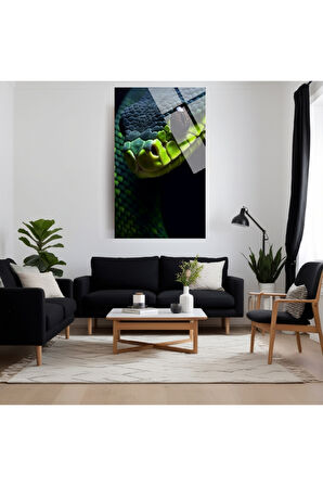 Hayvan Fotoğrafları Cam Tablo | Dayanıklı Temperli Cam