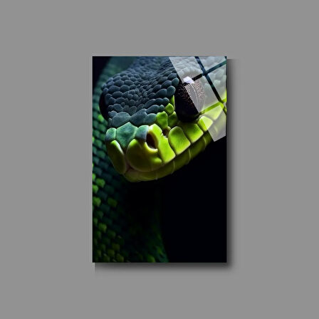 Hayvan Fotoğrafları Cam Tablo | Dayanıklı Temperli Cam