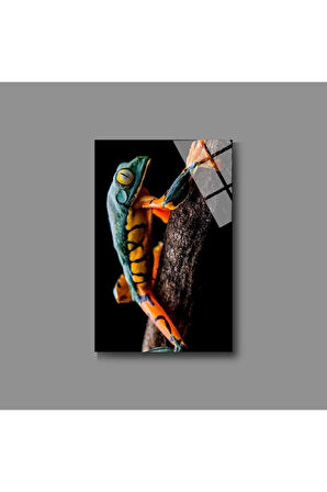 Hayvan Fotoğrafları Cam Tablo | Dayanıklı Temperli Cam