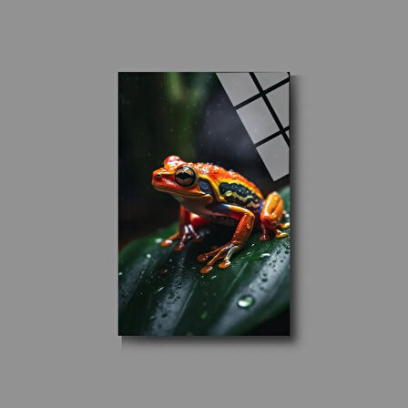 Hayvan Fotoğrafları Cam Tablo | Dayanıklı Temperli Cam