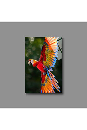 Hayvan Fotoğrafları Cam Tablo | Dayanıklı Temperli Cam