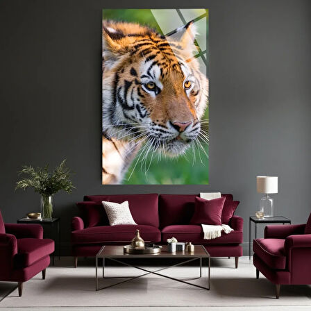 Hayvan Fotoğrafları Cam Tablo | Dayanıklı Temperli Cam