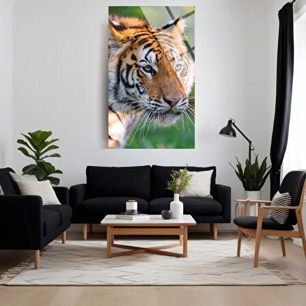 Hayvan Fotoğrafları Cam Tablo | Dayanıklı Temperli Cam