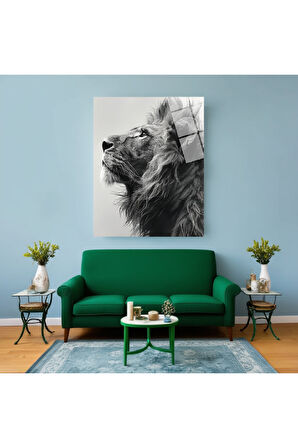 Pitbul Cam Tablo | Dayanıklı Temperli Cam