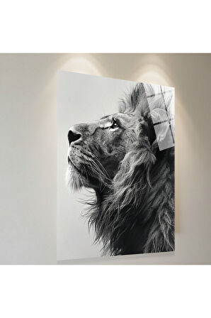 Pitbul Cam Tablo | Dayanıklı Temperli Cam