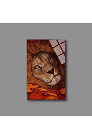 Hayvan Fotoğrafları Cam Tablo | Dayanıklı Temperli Cam