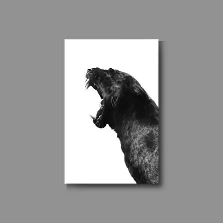 Hayvan Fotoğrafları Cam Tablo | Dayanıklı Temperli Cam