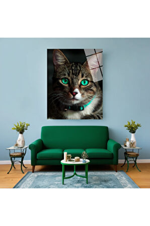 Mavi Kurbağa Cam Tablo | Dayanıklı Temperli Cam