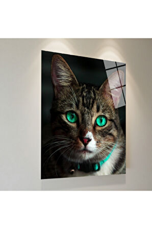 Mavi Kurbağa Cam Tablo | Dayanıklı Temperli Cam