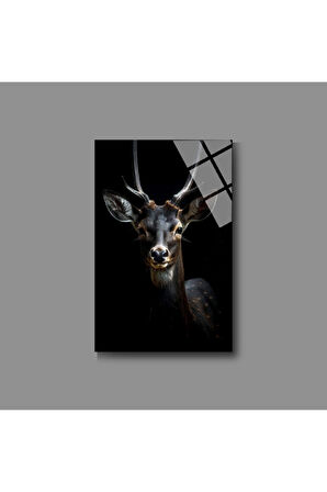 Hayvan Fotoğrafları Cam Tablo | Dayanıklı Temperli Cam