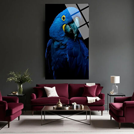 Hayvan Fotoğrafları Cam Tablo | Dayanıklı Temperli Cam