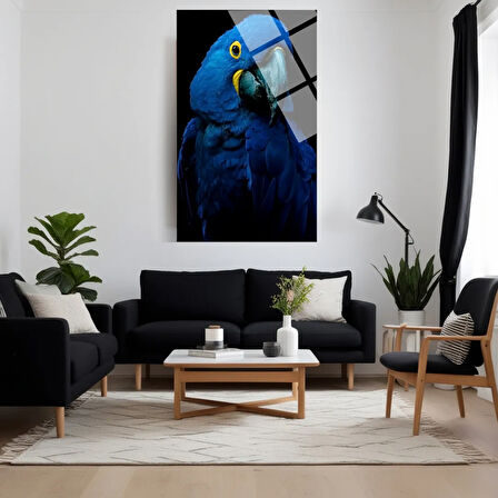 Hayvan Fotoğrafları Cam Tablo | Dayanıklı Temperli Cam