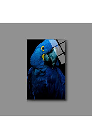 Hayvan Fotoğrafları Cam Tablo | Dayanıklı Temperli Cam