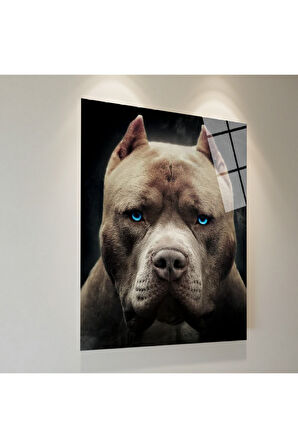 Mavi Kurbağa Cam Tablo | Dayanıklı Temperli Cam