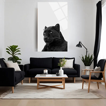 Hayvan Fotoğrafları Cam Tablo | Dayanıklı Temperli Cam