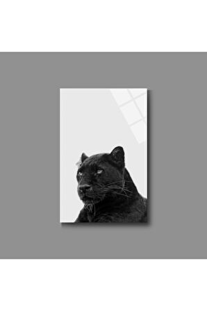 Hayvan Fotoğrafları Cam Tablo | Dayanıklı Temperli Cam