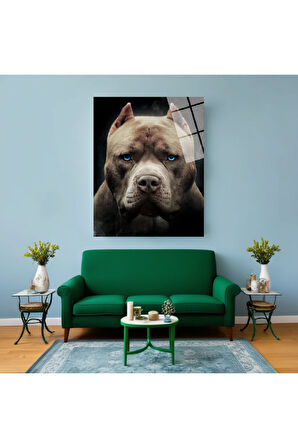 Sibirya Kurdu Cam Tablo | Dayanıklı Temperli Cam