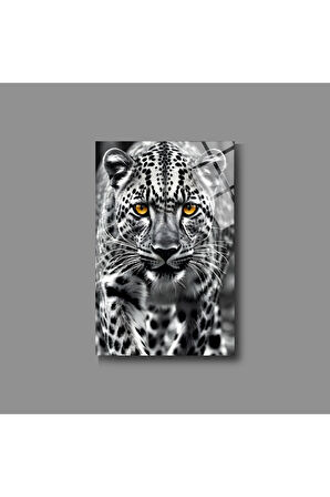 Hayvan Fotoğrafları Cam Tablo | Dayanıklı Temperli Cam