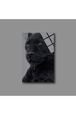 Hayvan Fotoğrafları Cam Tablo | Dayanıklı Temperli Cam