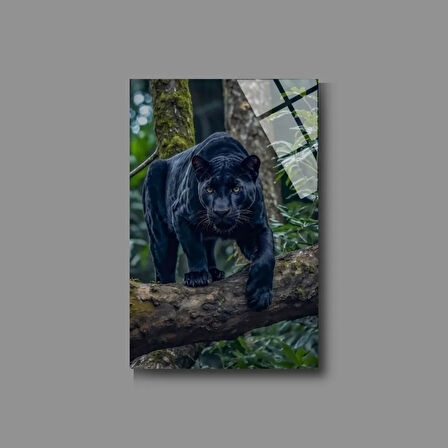 Hayvan Fotoğrafları Cam Tablo | Dayanıklı Temperli Cam