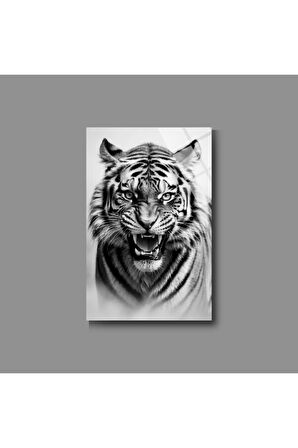 Hayvan Fotoğrafları Cam Tablo | Dayanıklı Temperli Cam