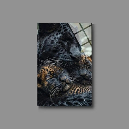 Hayvan Fotoğrafları Cam Tablo | Dayanıklı Temperli Cam