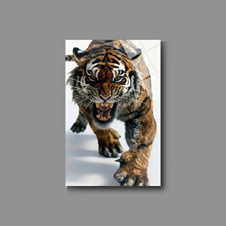 Hayvan Fotoğrafları Cam Tablo | Dayanıklı Temperli Cam