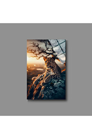Hayvan Fotoğrafları Cam Tablo | Dayanıklı Temperli Cam