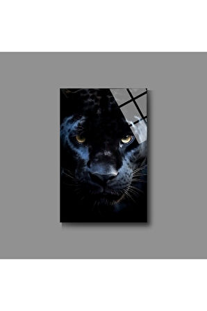 Hayvan Fotoğrafları Cam Tablo | Dayanıklı Temperli Cam