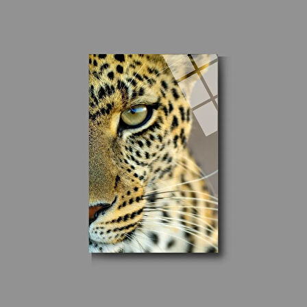 Hayvan Fotoğrafları Cam Tablo | Dayanıklı Temperli Cam