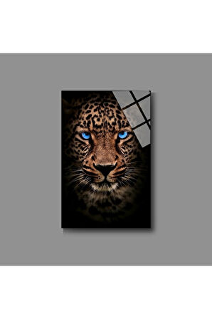 Hayvan Fotoğrafları Cam Tablo | Dayanıklı Temperli Cam