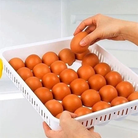 liYumurta Saklama Kabı