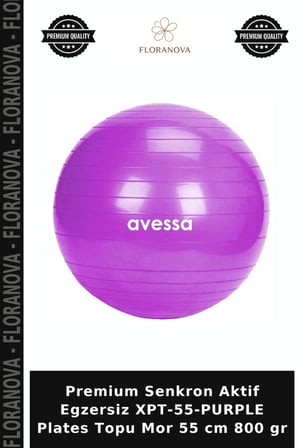 Premium Senkron Aktif Egzersiz XPT-55-PURPLE Plates Topu Mor 55 cm 800 gr