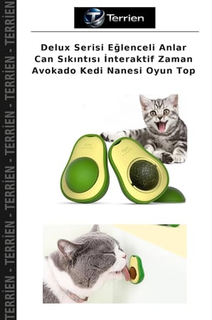 Delux Serisi Eğlenceli Anlar Can Sıkıntısı İnteraktif Zaman Avokado Kedi Nanesi Oyun Top